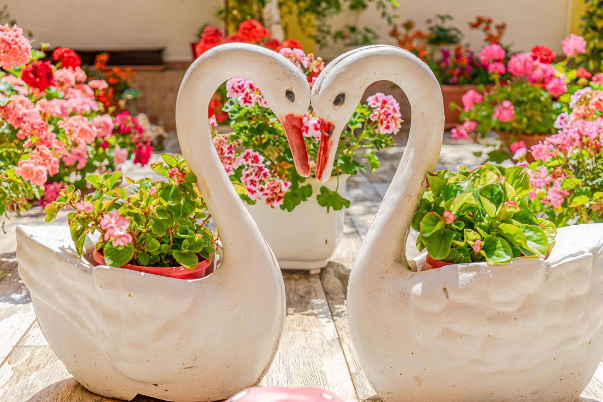 Boutique Guest House 'Sofia' Neszebar Kültér fotó
