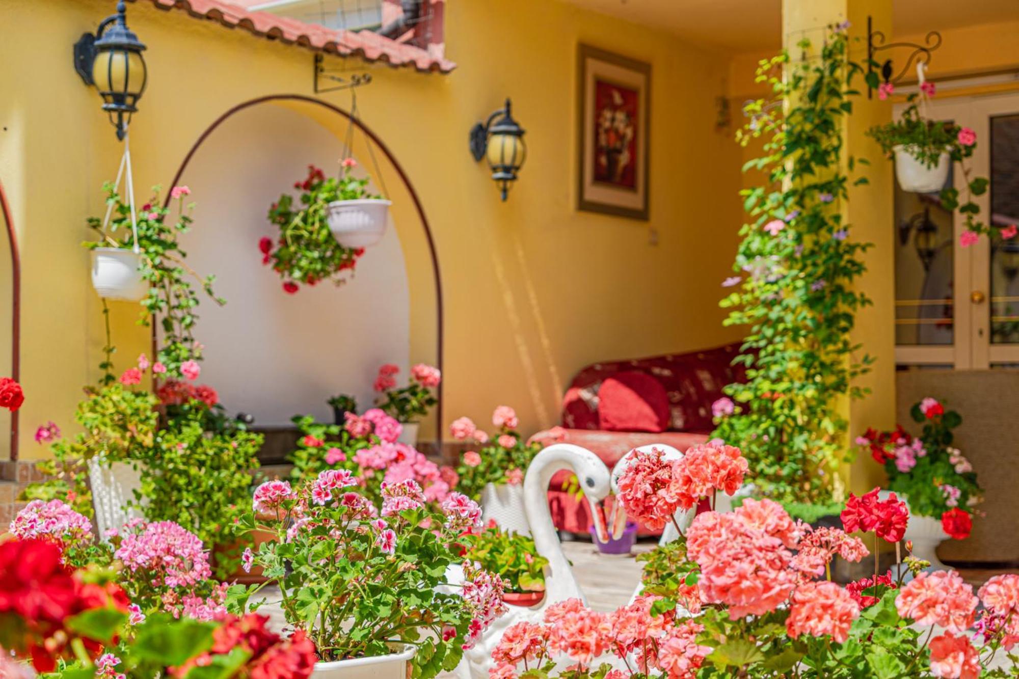 Boutique Guest House 'Sofia' Neszebar Kültér fotó